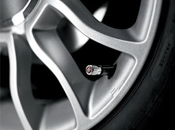 Accesorii pentru roata Jeep
