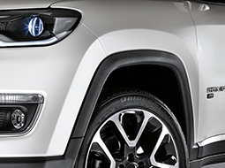 Aripi Alfa Romeo