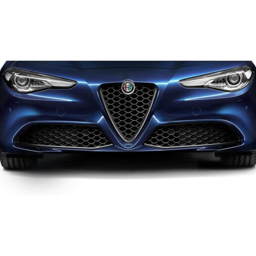 50549334_ornament_calandru_Alfa_Giulia_Veloce