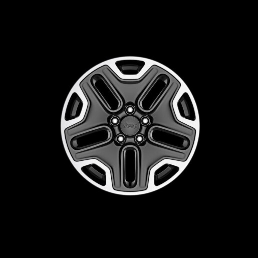735604694_janta_aliaj_Renegade