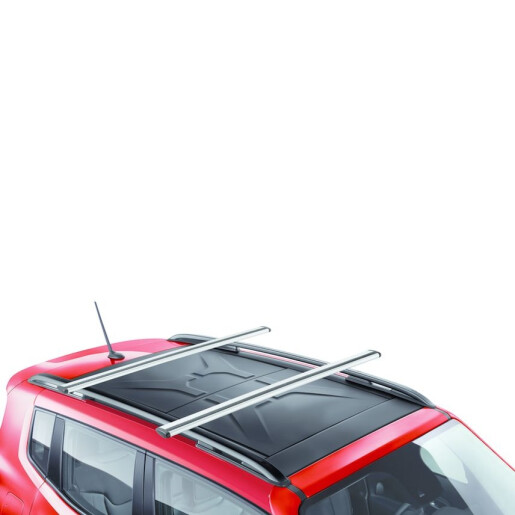 KTRAB4553_bare_transversale_Renegade