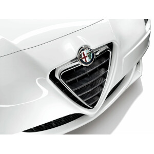 Radiator grill bars in cabon fiber