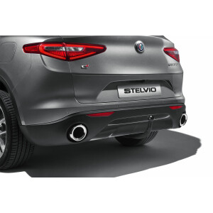 50903644_Ornament bara spate_ Stelvio