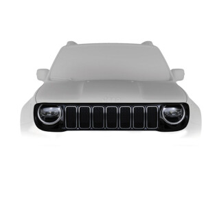 735699546_Grila calandru de culoare neagra_RENEGADE