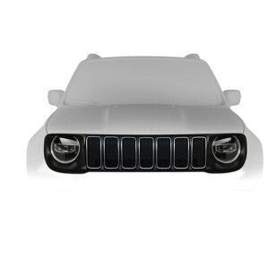 735705507_Grila calandru de culoare negru_RENEGADE