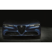 50928754_Grila fata_GIULIA