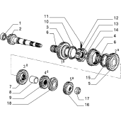 7670982_ARBORE_SECUNDAR_ALFA ROMEO_FIAT_FIAT Comercial_LANCIA 