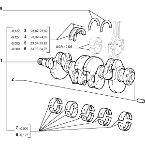 ARBORE COTIT ANSAMBLU